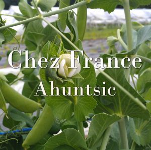 Point de chute de paniers de légumes de Ahuntsic - Chez France