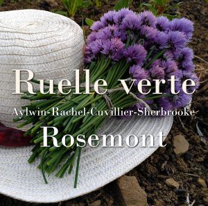 Ruelle verte Aylwin - Sherbrooke - Cuvillier - Rachel (Rosemont)